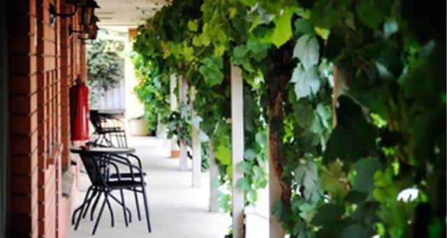 Wingrove Motel Corowa